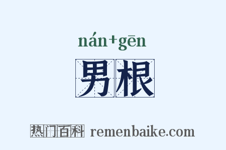 男根是什么意思的图片